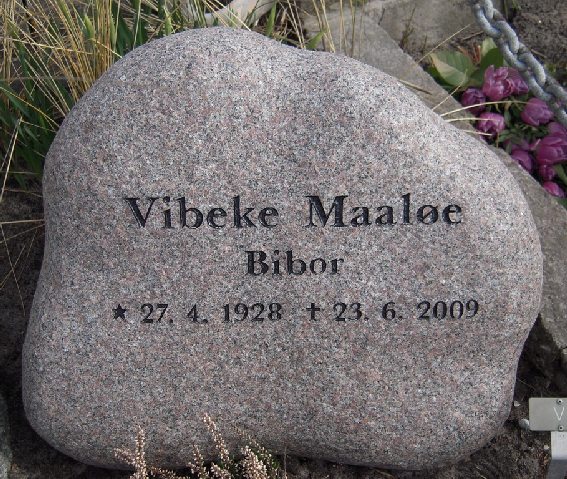 Billede af gravsten på Skagen Kirkegård