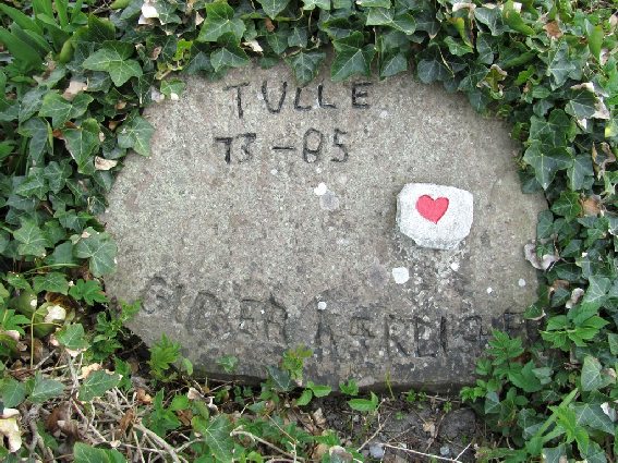Billede af gravsten på Skagen Kirkegård
